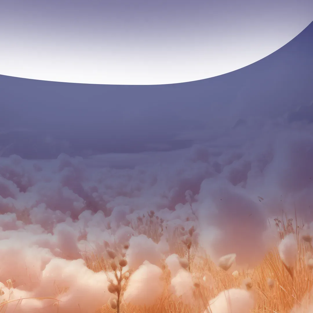 Cotton field under a soft violet sky
